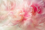 Fototapeta Kwiaty - A whimsical portrayal of peonies caught in a dance, their petals twirling with grace and joy