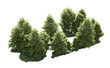 © Cristian - Green forest isolated on background. 3d rendering - illustration