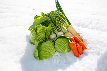 Wall Mural - 越冬野菜、雪下野菜、雪室野菜、日本の冬野菜