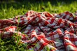 Red and White Vichy Fabric on Green Grass: Picnic Symbol