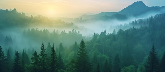 Wall Mural - Majestic Morning Mountains: Captivating Morning Views, Serene Mountain Peaks, and Enchanting Morning Mist Embrace the Majestic Morning Mountains.