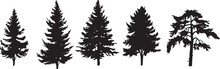 A Set Of Christmas Trees. Hand Drawn Vector Illustration	