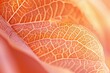 trendy peach leaf texture, close up. Abstract macro apricot leaves creative background