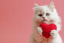 Fluffy White Cat Holds Out A Knitted Red Heart Isolated On Pink Pastel Background