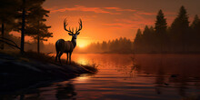 Silhouette Of White Tailed Deer Of Texas Farm, Sunset, Natural Light, Elegant Deer By The Seashore, 
