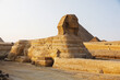 Great Sphinx of Giza on the Giza Plateau on the west bank of the Nile in Cairo, Egypt