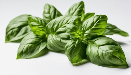 Sticker - A bunch of fresh green basil leaves