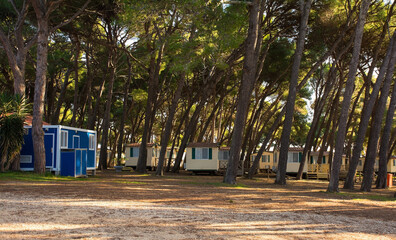 Wall Mural - Mobile holiday homes stand empty in winter in Kasteja Forest Park - Park Suma Kasteja - a coastal holiday park in Medulin in Istria, north east Croatia