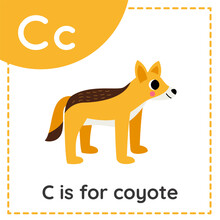 Learning English Alphabet For Kids. Letter C. Cute Cartoon Coyote.