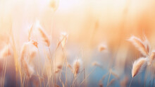 Grass Flower Meadow In The Morning Light, Soft Focus Background