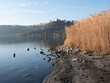 paesaggio in riva al lago di Albano, alle spalle la città di Castel Gandolfo