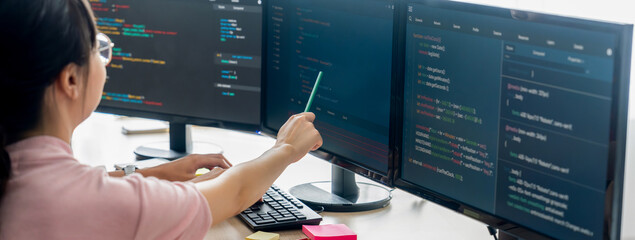 female programer explain while pointing code displayed on computer. professional programmer present 
