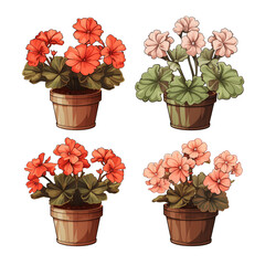 Wall Mural - Set of geranium flowers in pots. Illustration in cartoon style isolated on transparent background