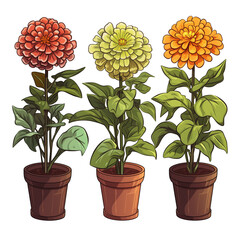 Wall Mural - set of colorful zinnia flowers in pots