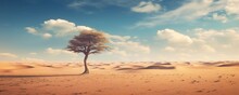 Lonely Tree In The Middle Of The Lifeless Dry Desert