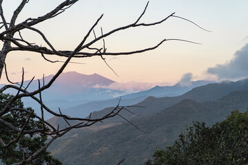 Wall Mural - Landscape of Panama jungle mountains at sunrise with dead tree branches in foreground