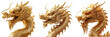 Collection of portrait of Golden Chinese dragon isolated on transparent or white background
