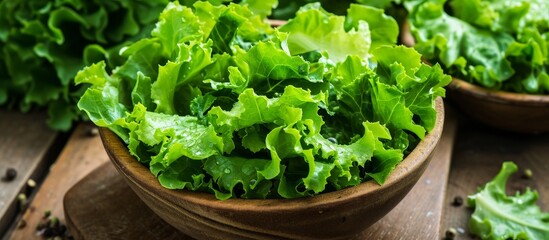 Sticker - Fresh Green Lettuce Salad with Crisp Leaves - A Refreshing Green Delight