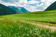 Picturesque alpine pasture