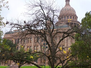 Wall Mural - Texas State Capitol Building in Austin, Texas, United States.