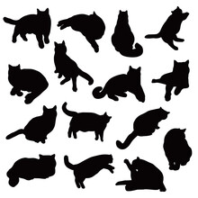 Set Of Domestic Cat Silhouettes.