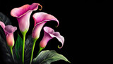Fototapeta Kwiaty - Piękne abstrakcyjne różowe kwiaty na czarnym tle