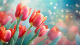 Fototapeta Kwiaty - Wiosenne czerwone tulipany, pastelowe tło kwiatowe