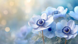 Fototapeta Kwiaty - Niebieskie anemony, piękne wiosenne kwiaty tapeta. Pastelowy kwiat