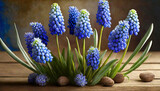 Fototapeta Kwiaty - Szafirki, niebieskie wiosenne kwiaty