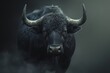 A formidable black bull stares forward with raw power and untamed strength, encapsulated in misty ambiance.

