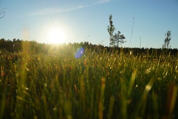 Sunset into marsh