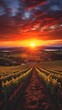 Warm sunset glow on vineyard rows with a picturesque backdrop. Concept of serene vineyard at sunset, pastoral beauty, agricultural landscape, rural retreat, nature harmony, calmness. Vertical format