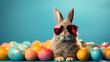 Cute Easter bunny rabbit in cool sunglasses with colorful easter eggs .Easter egg hunt concept. bunny easter with sunglasses and eggs.Cool Easter bunny wearing sunglasses 