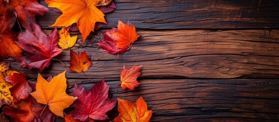 Sticker - Stunning Autumn Maple Leaves on a Vibrant Wooden Background with Artificial Charm