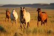 A herd of white and bay horses graze in the autumn steppe near the mountains