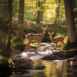Deer in the woods, doe and her fawn by a stream in the forest.