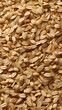 close up of a oats seeds