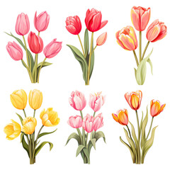 Wall Mural - set of tulips