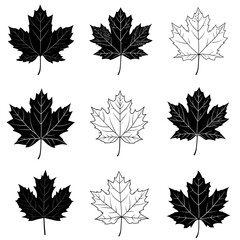 Wall Mural - set of maple leaves silhouettes on white