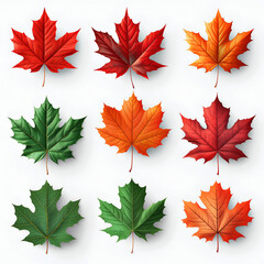 Wall Mural - set of autumn leaves, Isolated maple leaves on white