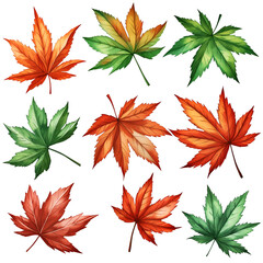 Wall Mural - set of autumn leaves, Isolated maple leaves on white
