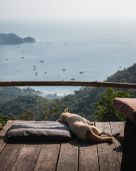 Wall Mural - An amazing view of Koh Tao, Thailand from one of the highest viewpoints