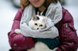 A beautiful white cat in the arms of a girl on a winter street. Kitty in scarves.