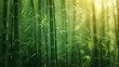 Relaxing bamboo background Create a calm and natural atmosphere