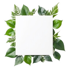 Wall Mural - frame with leaves