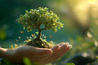 © lilyl - An image of hands holding a small tree - Generative AI
