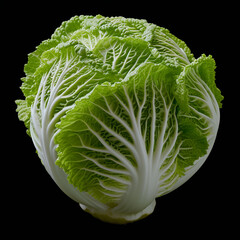 Sticker - Chinese cabbage