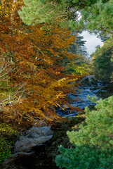 the River North Esk high up in the Angus Glens near the Village of Tarfside tumbling down the hillside in a series of small waterfalls.