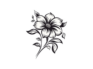 Beautiful minimalist flower illustration art.