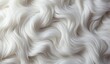 Beautiful white soft fluffy fur texture background.